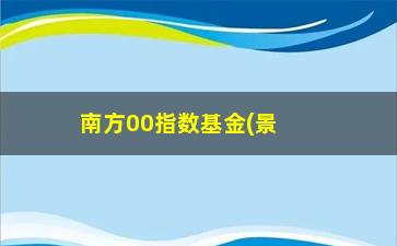 “南方00指数基金(景顺鼎益